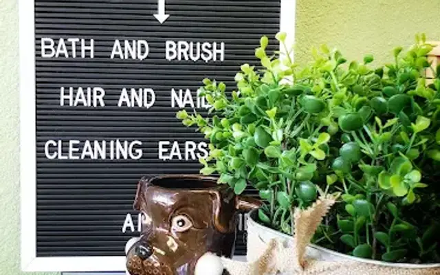 MercaDog in Chino, CA