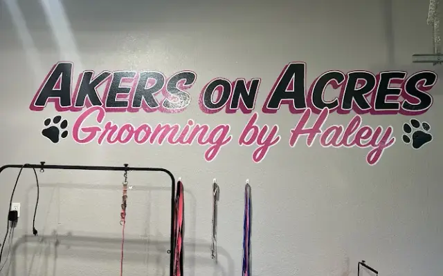 Grooming by Haley AKERS on ACRES in Onsted, MI