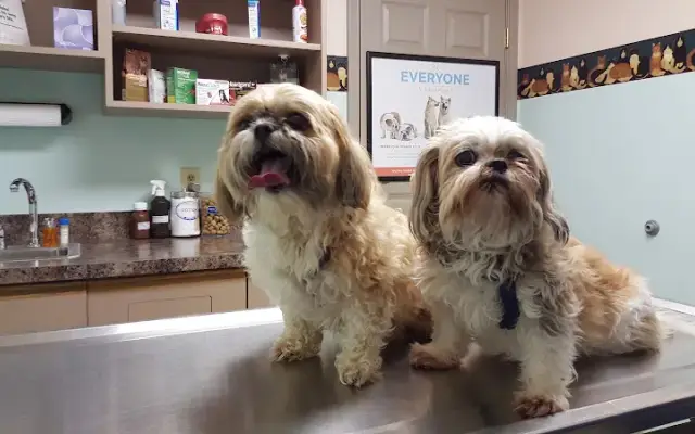 M R Robinwood Grooming in Fayetteville, PA