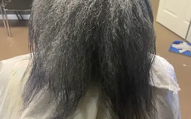 In & Out Grooming Salon in Talbotton, GA