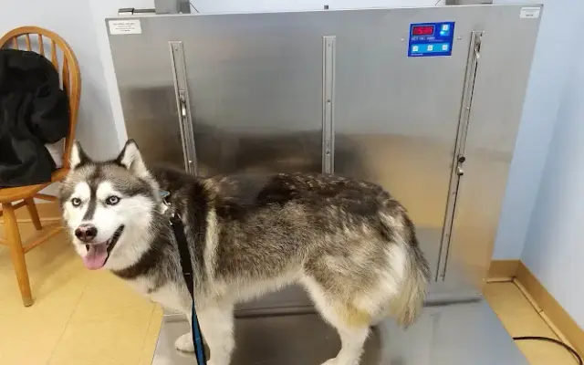Swansea Veterinary Center in Swansea, MA