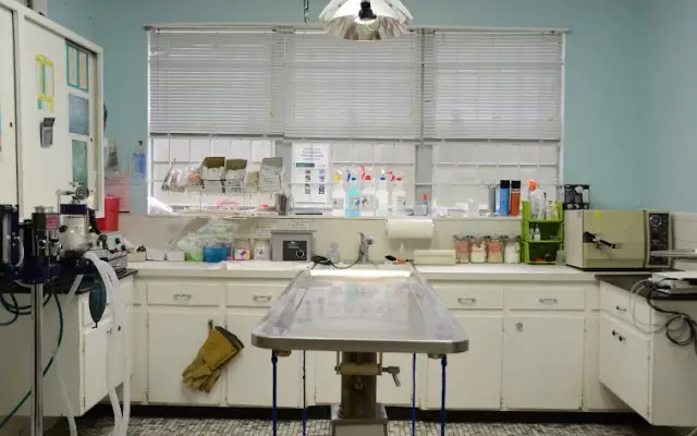 Northside Animal Hospital in Jacksonville, FL