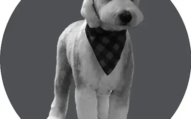 Hair of the Dog Grooming Salon by Emily in Le Sueur, MN