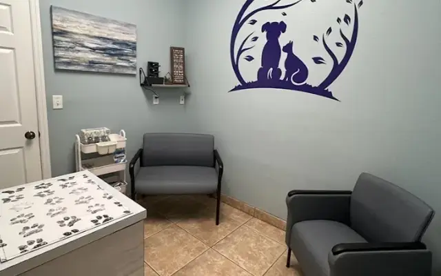 VCA Little Animal Hospital in New Port Richey, FL