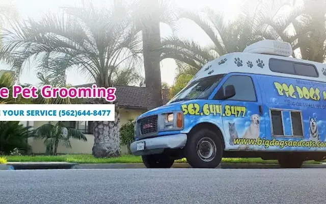 Big dogs and cats - Love's pet grooming in Downey, CA