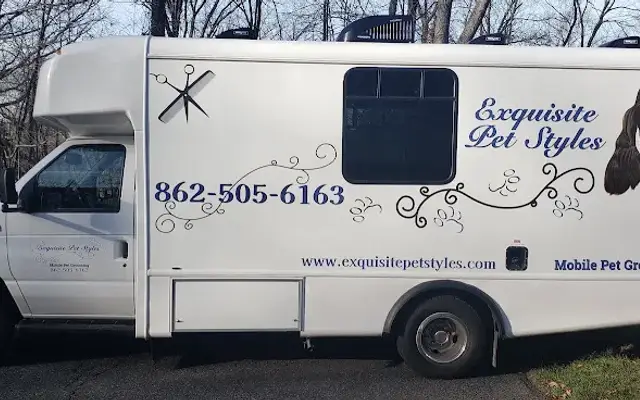 Exquisite Pet Styles in Pequannock Township, NJ