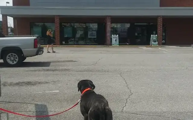 Pet Supplies Plus Maryville in Maryville, TN