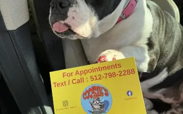 Cookie's Pet Salon LLC in Lockhart, TX