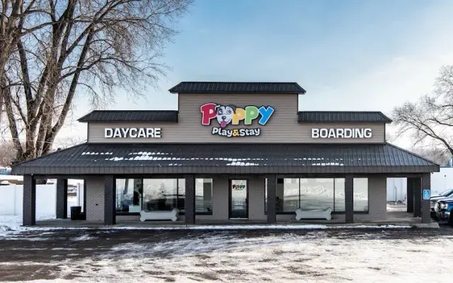 Puppy Play and Stay in Lakeville, MN