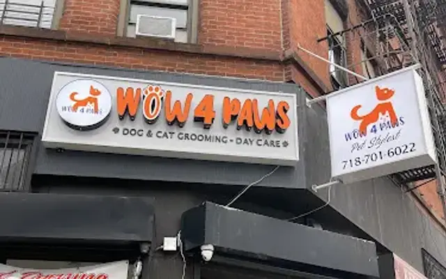 wow 4 paws pet service inc in Long Island City, NY