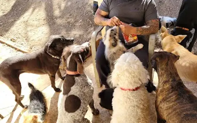 Texas hill county pet care and service in Kerrville, TX