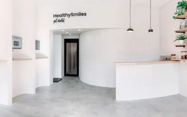 HealthySmiles Pet Dental in Plantation, FL