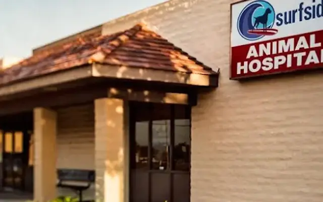 Surfside Animal Hospital in Oceanside, CA