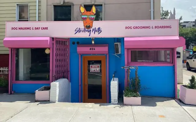 Strutting Mutts | Dog Walkers | Day Care in Brooklyn, NY