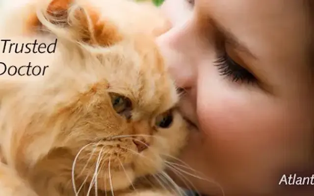 Atlantic Veterinary Hospital in Seattle, WA