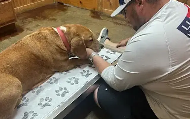 Animal Hospital Of Humble in Humble, TX