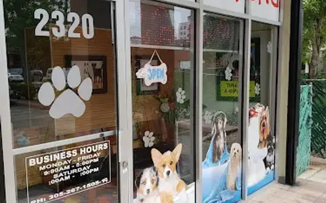 Doggies Spa Grooming in Miami, FL
