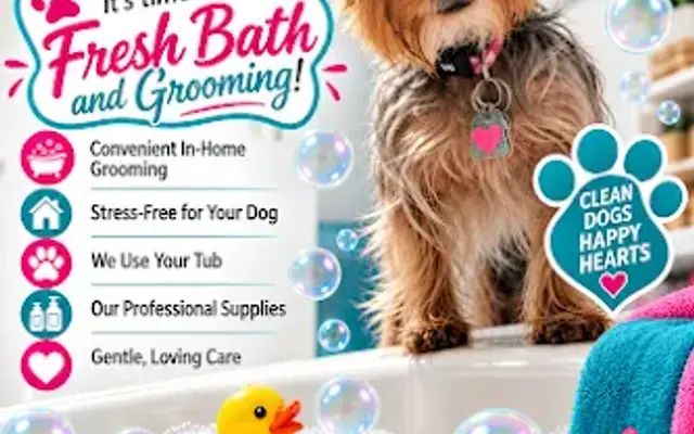 Holden Paws Dog Grooming in Glen Burnie, MD