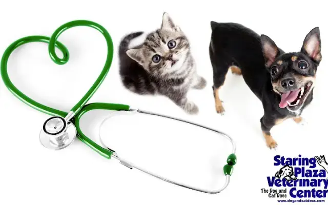 Staring Plaza Veterinary Center in Baton Rouge, LA