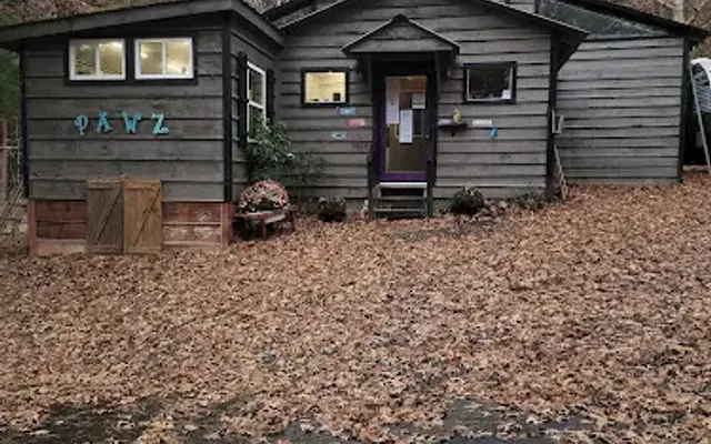 Laurel Hill Pet Lodge & Spa in Young Harris, GA