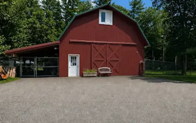 Domestic Dog Training (Boarding & Grooming) in Tilton, NH