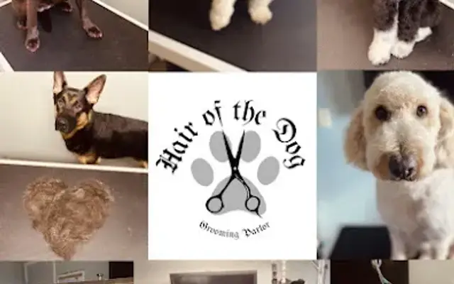 Hair of the Dog Grooming Parlor in Alliance, OH