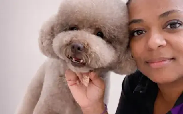 Fusion Pet Stylez in Kissimmee, FL