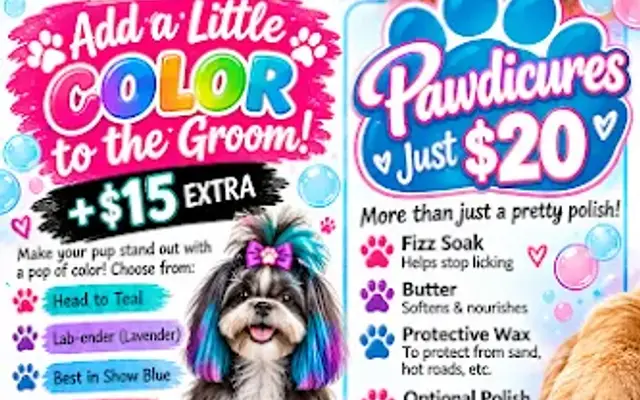 Next Level Pet Salon in Purcell, OK