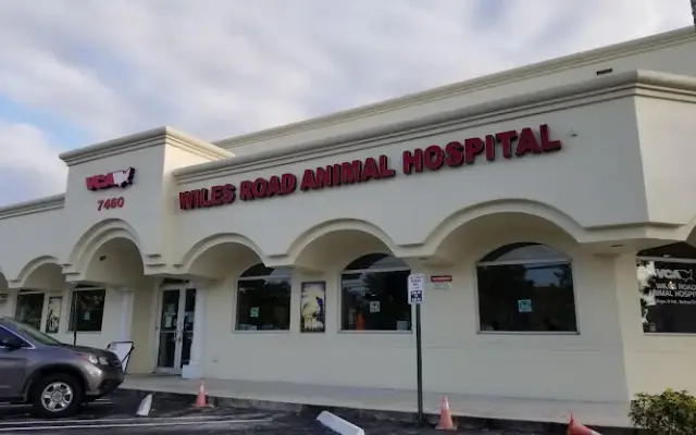 VCA Wiles Road Animal Hospital in Coral Springs, FL