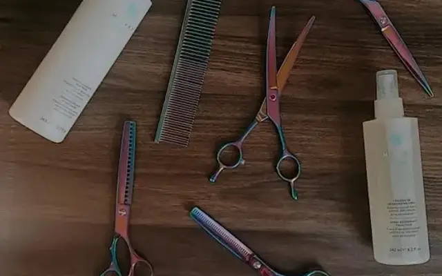 Loving Lathers Grooming in Howard City, MI