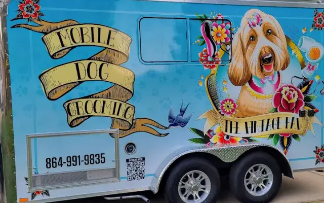 The Vintage Paw in Greenville, SC