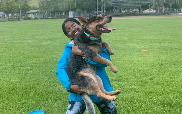 Trimmers And Paws in Novato, CA