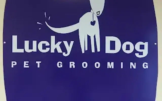 Lucky Dog Pet Grooming in Maple Plain, MN