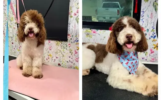 High Tail Society Grooming Co. in Terrell, TX