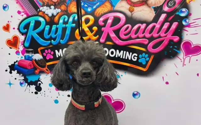 Ruff&Ready in Parkland, FL