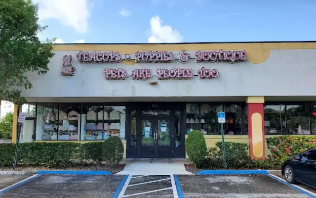 TeaCups, Puppies & Boutique in Davie, FL