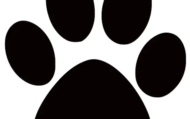 Clean k9 Mobile Dog Grooming (Waynesville, Asheville and Sylva) in Waynesville, NC