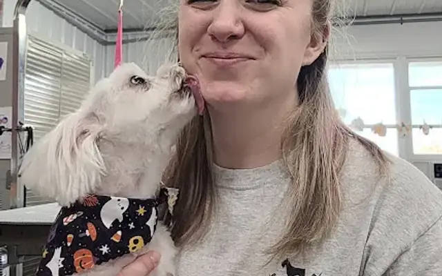 Paws in Style in Dallastown, PA