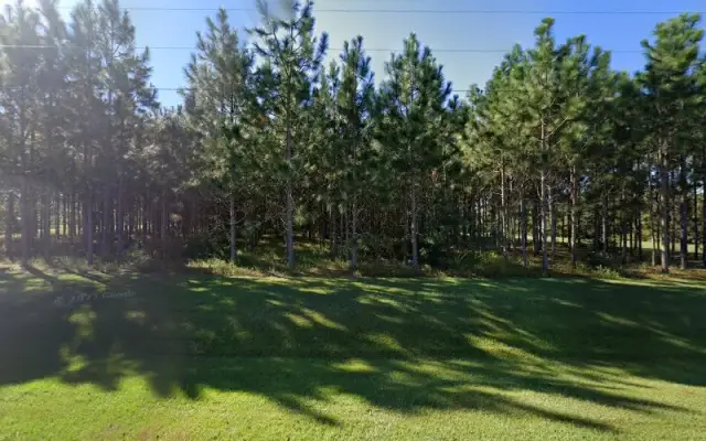 Hannah’s Paw Palace in Baxley, GA