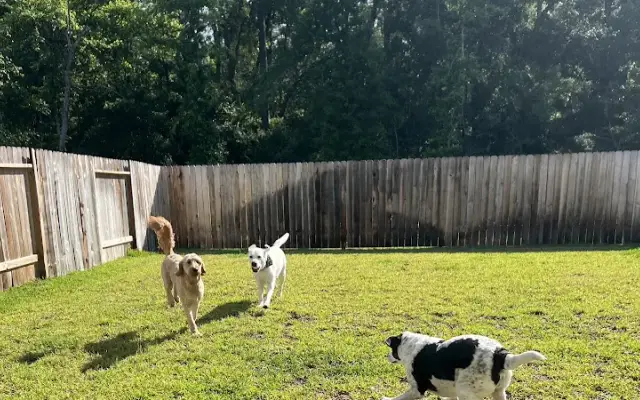 JoJo’s Pack House in Montgomery, TX