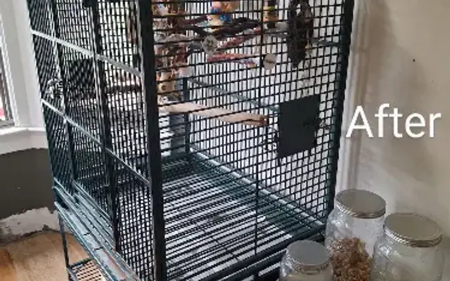The Bird Nerds mobile grooming and cage cleaning L.L.C in Macomb, MI