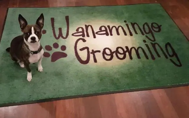 Wanamingo Grooming in Wanamingo, MN