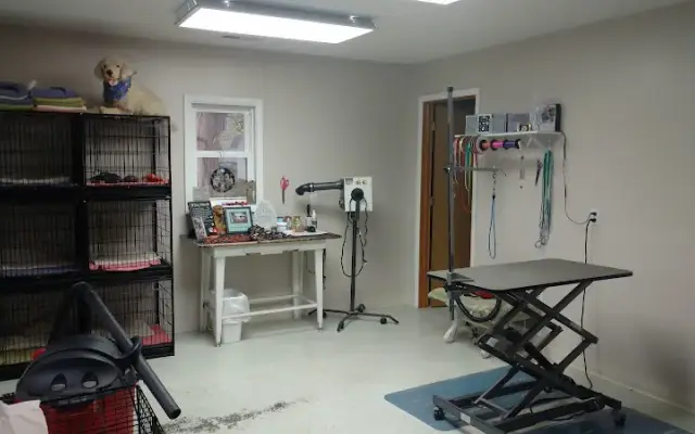 Best Friends Pet Grooming in Defiance, OH