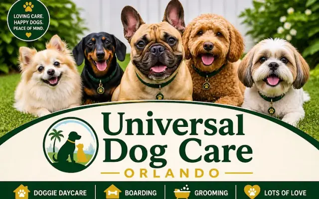 Universal Dog Care Orlando, Dog Care and Dog Boarding in Orlando, FL