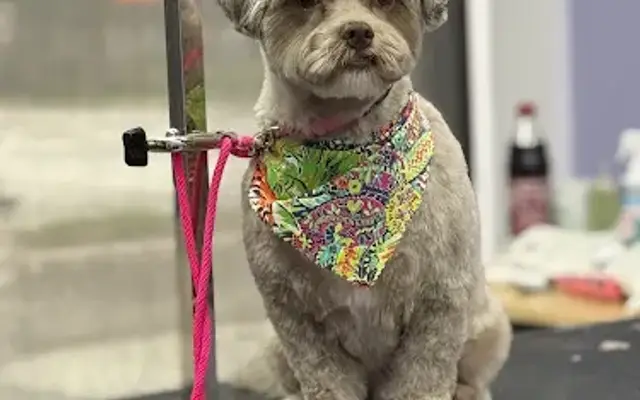 Groombar - Fountain Inn in Fountain Inn, SC