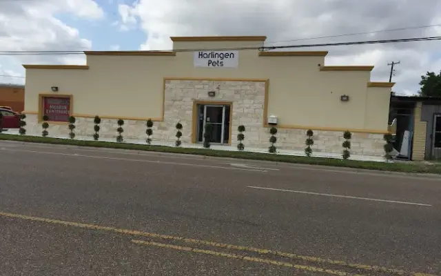Harlingen Dog Grooming in Harlingen, TX
