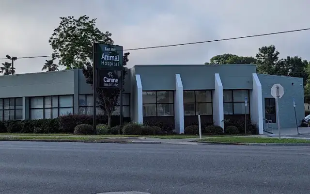 East Hill Animal Hospital in Pensacola, FL