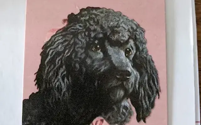The Hairy Dog Parlor in New London, WI