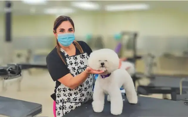 Andrea's Grooming Spa in Davie, FL