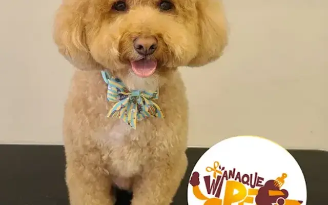 Wanaque Pet Grooming LLC in Haskell, NJ